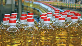 Фотография к новости: Қазақстанда 1 млрд долларлық күнбағыс зауыты іске қосылады