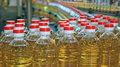 Қазақстанда 1 млрд долларлық күнбағыс зауыты іске қосылады