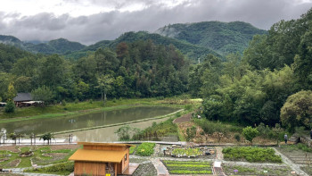 Фотография к новости: Жібек шаруашылығы алғаш шыққан аймақты білесіз бе?