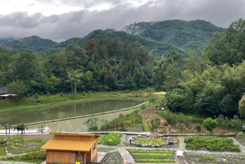 Фотография к новости: Жібек шаруашылығы алғаш шыққан аймақты білесіз бе?