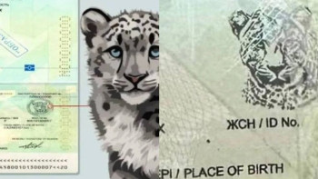 Фотография к новости: Қазақстандықтар жаңа қорғаныс деңгейі бар паспорттар ала бастады