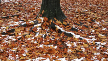 Фотография к новости: Найзағай, алғашқы қар мен аяз: Қазақстанды қыркүйек соңында қандай ауа райы күтіп тұр