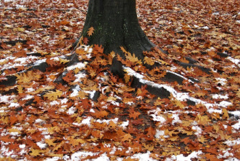 Фотография к новости: Найзағай, алғашқы қар мен аяз: Қазақстанды қыркүйек соңында қандай ауа райы күтіп тұр
