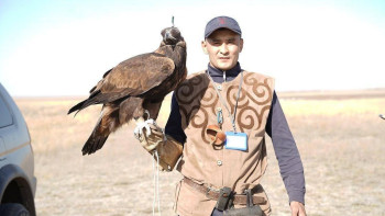 Фотография к новости: Астанада халықаралық құсбегілер турнирі басталды
