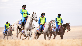 Фотография к новости: "Ұлы дала жорығы": Арқалықта басталған марафон мәресіне жетті