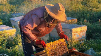 Фотография к новости: Бір тамшыдан – бір тоннаға дейін: омарташының 5 жылдық жолы