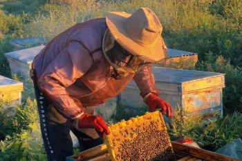 Фотография к новости: Бір тамшыдан – бір тоннаға дейін: омарташының 5 жылдық жолы