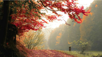 Фотография к новости: Қар, тұман, үсік: жексенбіде бірқатар өңірлерде ауа райына байланысты ескерту жасалды