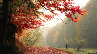 Қар, тұман, үсік: жексенбіде бірқатар өңірлерде ауа райына байланысты ескерту жасалды