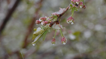 Фотография к новости: Аяз, көктайғақ: синоптиктер ескерту жариялады