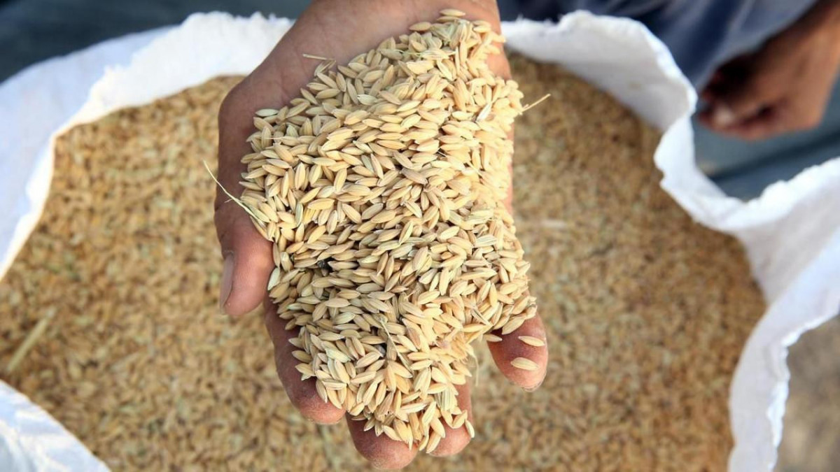  Ауыл шаруашылығы министрлігі