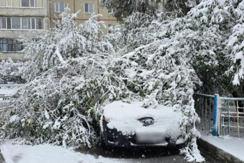 Фотография к новости: Қостанайда қарлы дауыл: ауыр қар мен жаңбырдан бірнеше көлік ағаш астында қалды