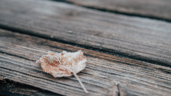 Фотография к новости: Аяз, тұман, көктайғақ: 14 облыста дауылды ескерту жарияланды