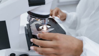 Фотография к новости: Ғалымдар алғаш рет адам терісінің ДНҚ-сынан эмбрион жасады