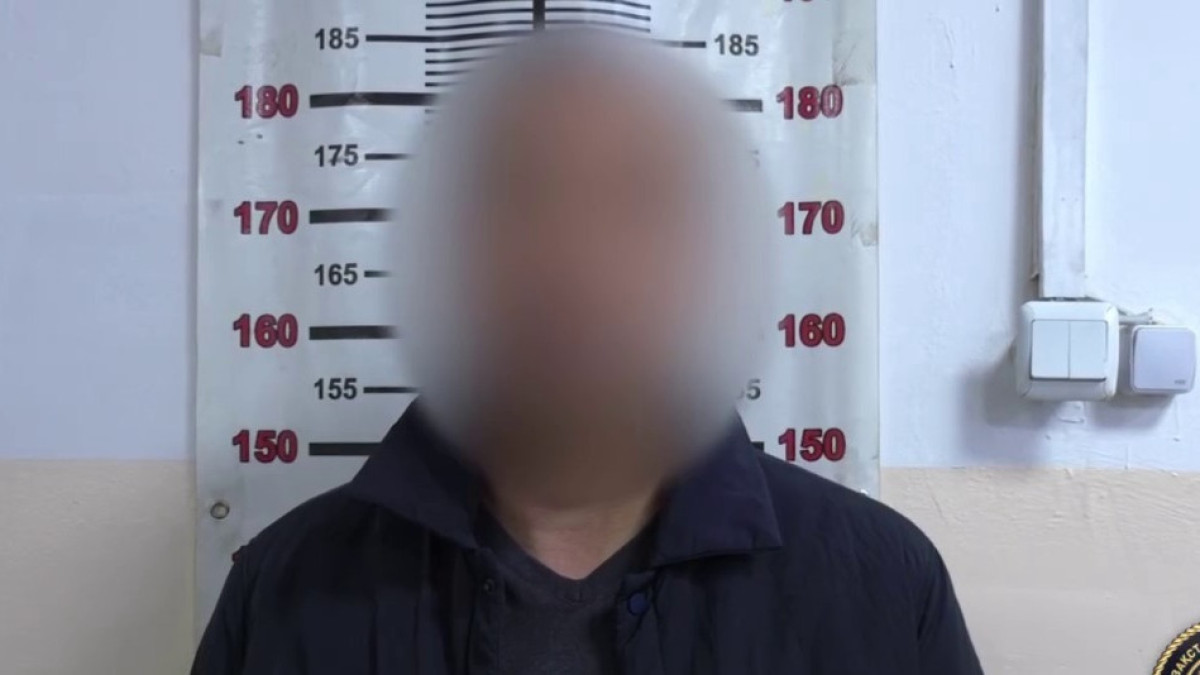  видеодан скриншот