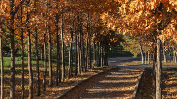 Фотография к новости: +28 градустан -12 градусқа дейін: Қазақстанда қазан айында қандай ауа райы күтіледі?