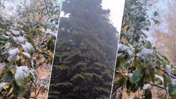 Фотография к новости: Алматыда алғашқы қар жауды