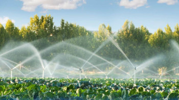 Фотография к новости: Су үнемдеу технологиялары пайдаланылатын егіс алқабының аумағы 86%-ға ұлғайды