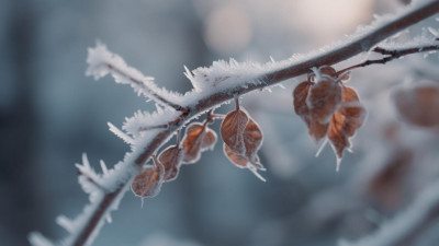 Аяз, қар, көктайғақ: синоптиктер 16 өңірде ескерту жариялады