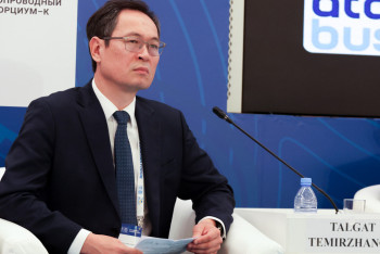 “Мүмкіндіктер терезесі” шектеулі: BCG Қазақстанға жедел әрекет етуді ұсынады