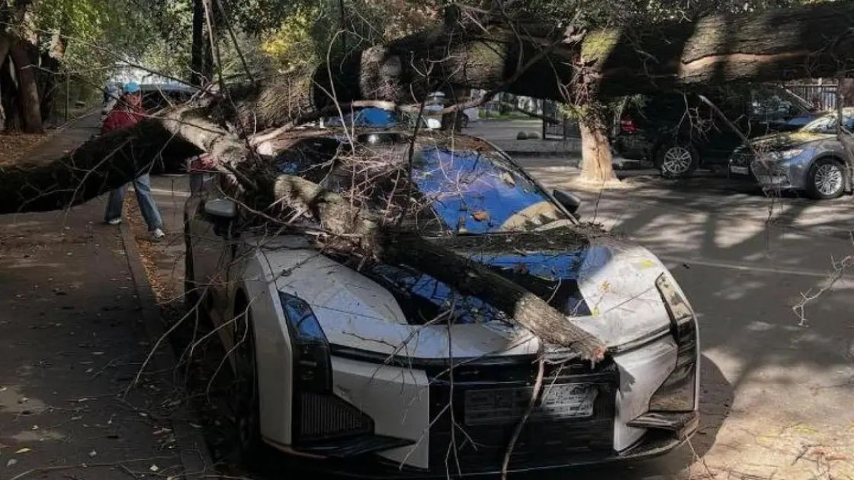  threads.com/@aaarsenovich