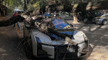 Фотография к новости: Алматыда қураған ағаш электромобильдің үстіне құлады: Шығынды кім төлейді?