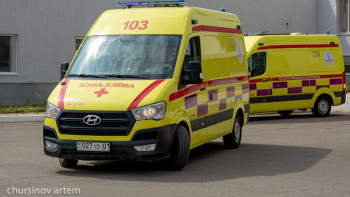 Фотография к новости: Аялдамада тұрған: Алматыда екі адамды көлік қағып кетті