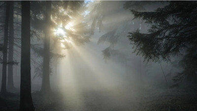 Ертең бірқатар өңірде тұман түсіп, екпінді жел соғады – Қазгидромет