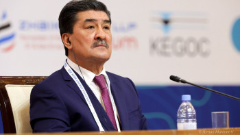 Фотография к новости: Қазақстан Орталық Азия мен Араб әлемі арасындағы көпір болуға дайын – министр