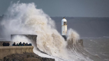 Фотография к новости: Францияда "Эми" дауылынан екі адам қаза тапты