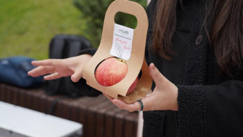 Фотография к новости: Астанада алма фестивалі өтті