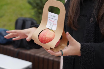 Фотография к новости: Астанада алма фестивалі өтті