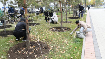 Фотография к новости: "Таза Қазақстан": Астанада ауқымды экологиялық айлық жалғасып жатыр