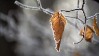Фотография к новости: "Үсік жүріп, тұман түседі". 11 өңірде дауылды ескерту жарияланды