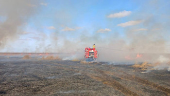 Фотография к новости: Астана маңында бірнеше гектар қамыс өртенді