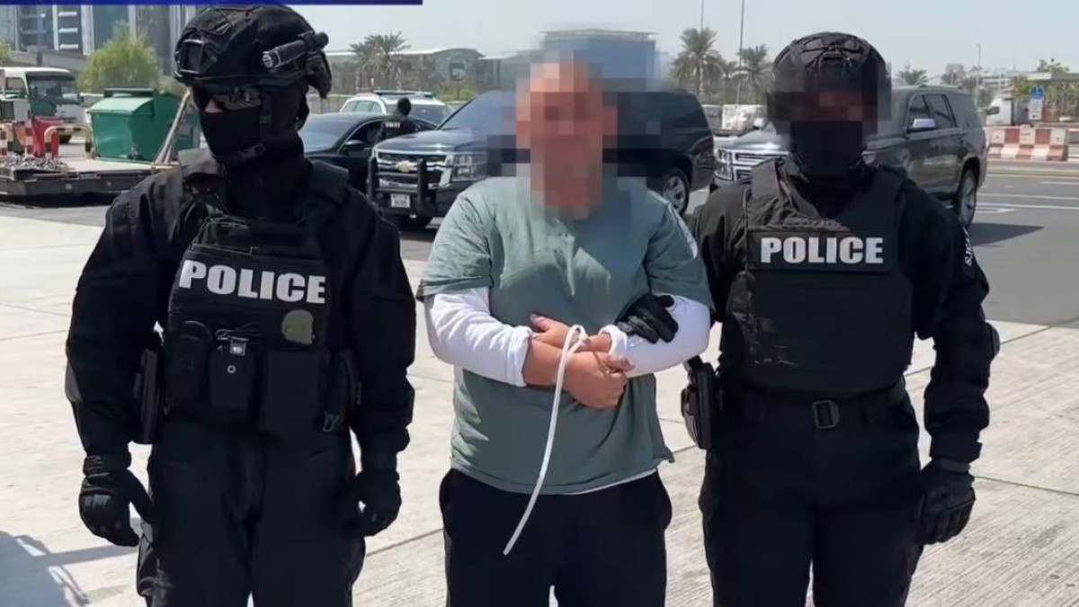  видеодан скриншот