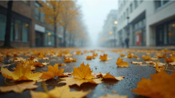 Фотография к новости: Қазақстанда қатты жел соғып, үсік жүреді — Қазгидромет