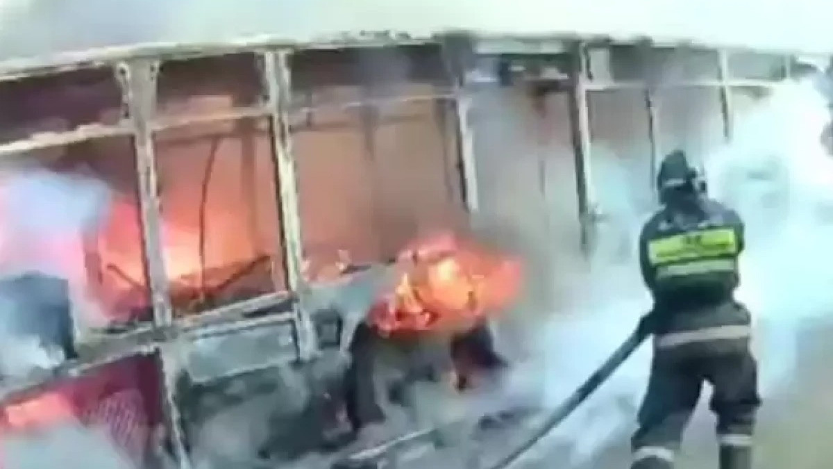  видеодан скриншот