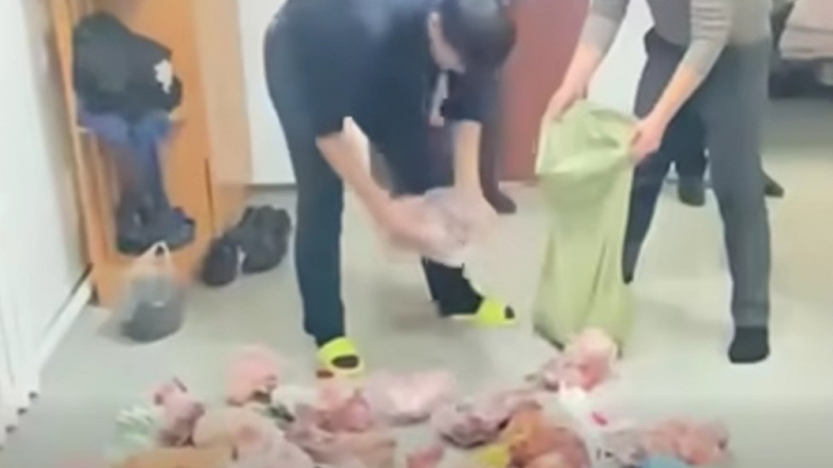  видеодан скриншот