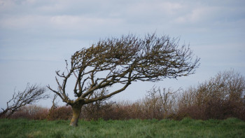 Фотография к новости: 10 қазан еліміздің бірқатар аймағында жел екпіні күшейеді