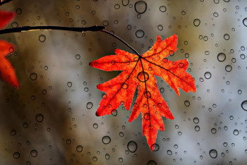 Фотография к новости: Ертең елдің бірқатар өңірінде ауа райы күрт нашарлайды