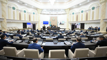 Фотография к новости: Сенат депутаттары мемлекет басқаруда өз үлесін қосып келеді – Бибігүл Жексенбай