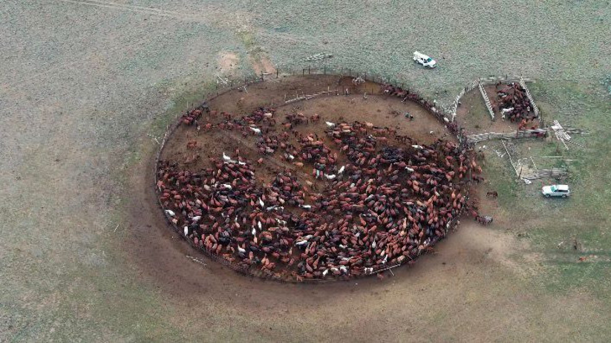  кейіпкердің жеке мұрағаты