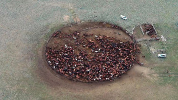 Фотография к новости: Күннен қуат, бұлақтан су, ғарыштан интернет: Қостанайлық фермердің тәжірибесі