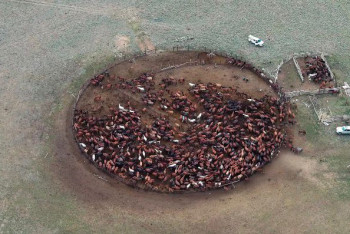 Фотография к новости: Күннен қуат, бұлақтан су, ғарыштан интернет: Қостанайлық фермердің тәжірибесі