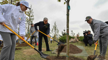 Фотография к новости: "Таза Қазақстан": Мемлекет басшысы жастармен бірге ағаш екті