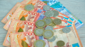 Фотография к новости: 78 мың теңгеге дейін: Мүгедектігі бар адамдарға қандай қолдау көрсетіледі?