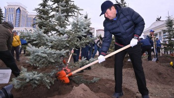 Фотография к новости: Мәжіліс депутаттары Астанада 140 түп ағаш отырғызды