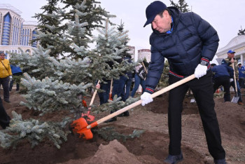 Фотография к новости: Мәжіліс депутаттары Астанада 140 түп ағаш отырғызды