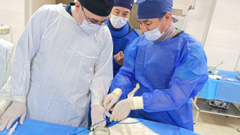 Фотография к новости: Қазақстандық дәрігерлер өзбекстандық науқастарға 17 күрделі ота жасады